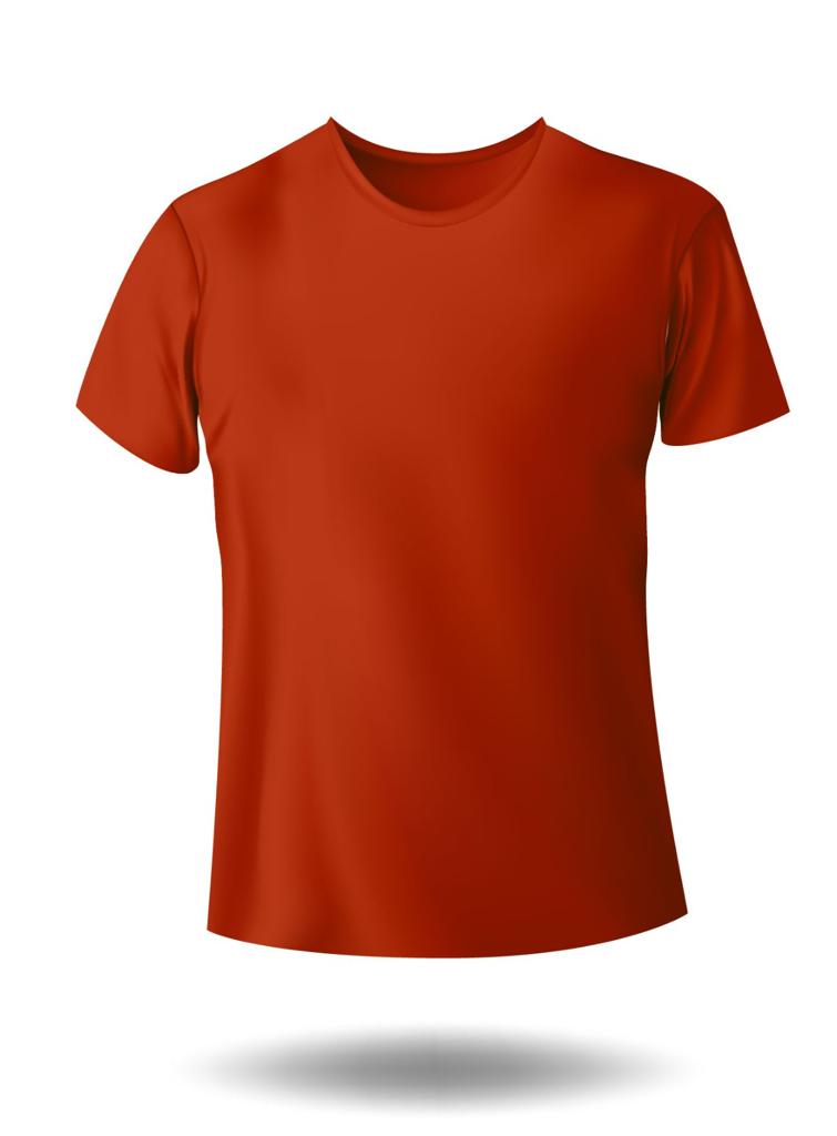 Rust color t-shirt for kids
